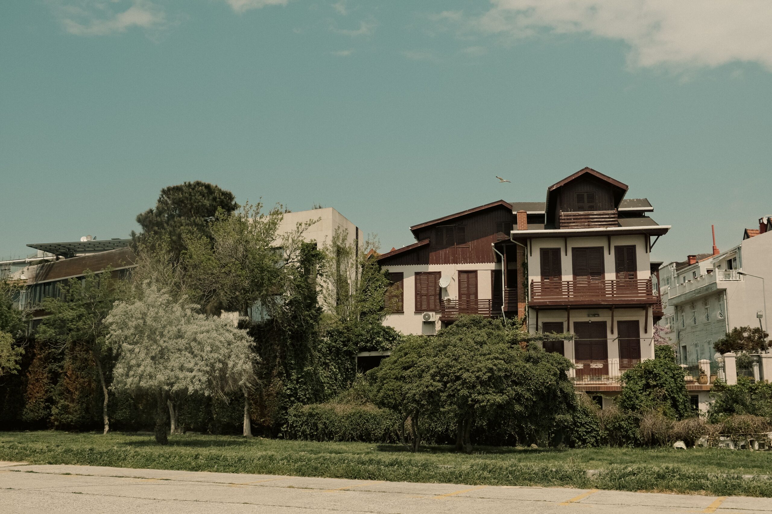 Captivating view of Istanbul's vintage residential houses surrounded by lush greenery under clear skies.